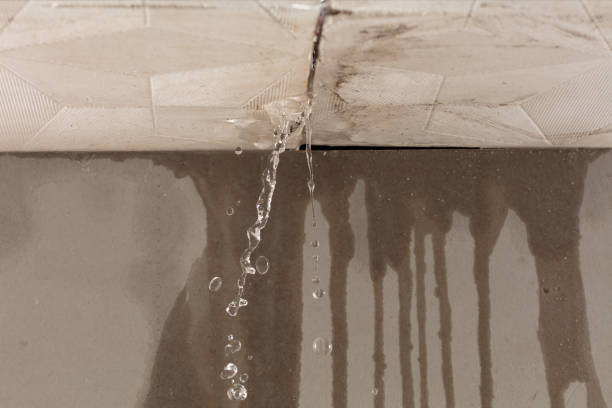 Professional Water Damage Inspection technician working in Ocoee, TN